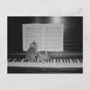 Twee kittens zittend op piano toetsenbord per blad briefkaart