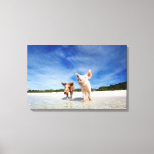 Twee kleine biggen canvas afdruk