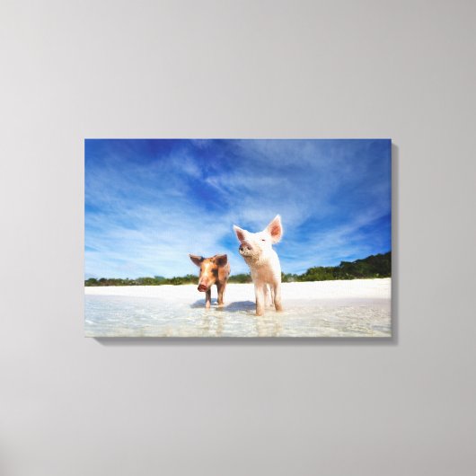Twee kleine biggen canvas afdruk (Voorkant)