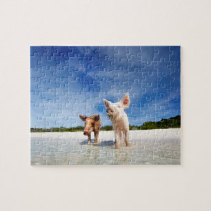 Twee kleine biggen legpuzzel