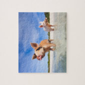 Twee kleine biggen legpuzzel (Verticaal)