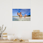 Twee kleine biggen poster (Keuken)