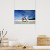 Twee kleine biggen poster (Keuken)