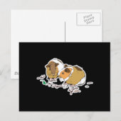 twee kleine cavia ' s briefkaart (Voorkant / Achterkant)