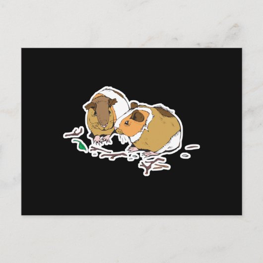 twee kleine cavia ' s briefkaart (Voorkant)