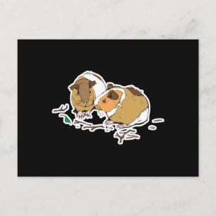 twee kleine cavia's briefkaart