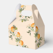 Twee kleine cuties tweeling citrus baby shower bedankdoosjes (Achterkant)