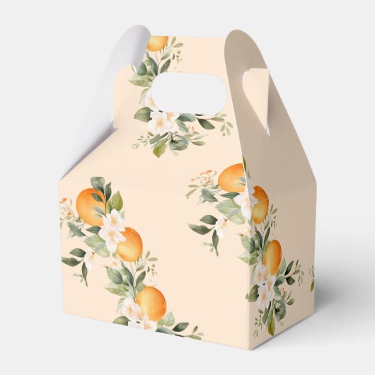 Twee kleine cuties tweeling citrus baby shower bedankdoosjes (Achterkant)