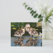 Twee kleine Duckies Briefkaart (Staand voorkant)