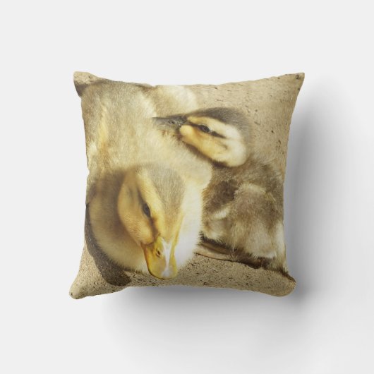 twee kleine eenden kinder werpen kussen (Achterkant)