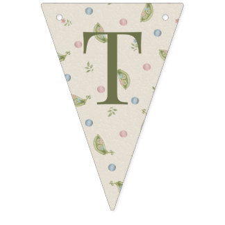 Twee Kleine Erwten Tweeling Baby Shower Slinger Vl Vlaggetjes