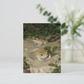 Twee kleine koppen - groene kikkerdruk briefkaart (Staand voorkant)