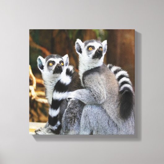 Twee kleine Lemurs Canvas Afdruk (Voorkant)