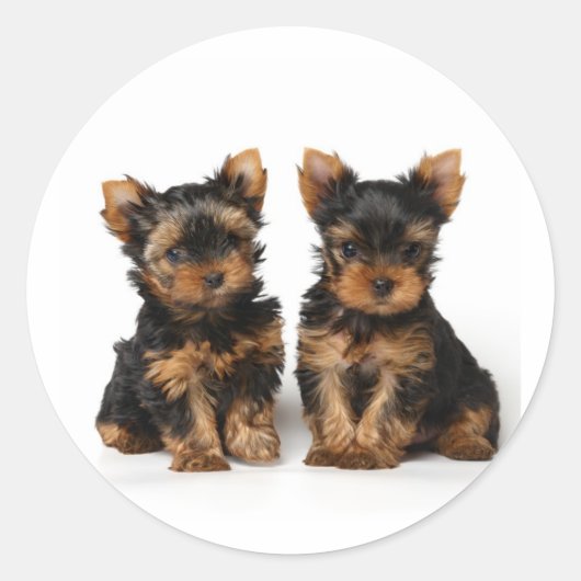 Twee kleine supers ronde sticker (Voorkant)