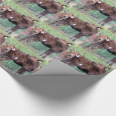 Twee kleine vaarzen cadeaupapier (Hoek)