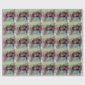 Twee kleine vaarzen cadeaupapier (Vlak)