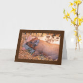 "TWEE KLEINE VARKENS" ZEGGEN ** GELUKKIGE VERJAARD KAART (Gele Bloem)