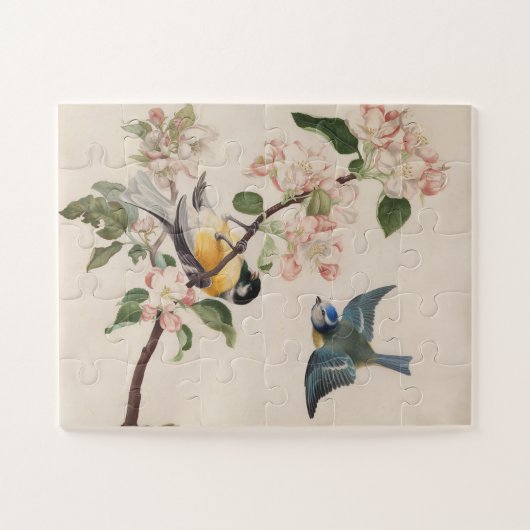 Twee kleine vogels in de buurt van een tak van app legpuzzel (Horizontaal)