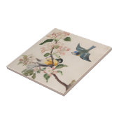 Twee kleine vogels in de buurt van een tak van app tegeltje (Zijkant)