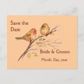 Twee kleine vogelsparren peach Brown Rustige Natuu Aankondigingskaart (Voorkant)