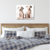 Twee kleine zwarte en witte Dalmatische Puppies Canvas Afdruk (Insitu (Slaapkamer))