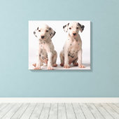 Twee kleine zwarte en witte Dalmatische Puppies Canvas Afdruk (Insitu (Houten vloer))
