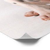 Twee kleine zwarte en witte Dalmatische Puppies Poster (Hoek)