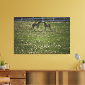 Twee kleuren in het veld canvas afdruk (Insitu (Woonkamer))