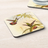 Twee kleurige Hummingvogels die op dezelfde bloem  Bier Onderzetter (Linkerzijde)