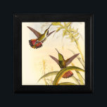 Twee kleurige Hummingvogels die op dezelfde bloem  Cadeaudoosje<br><div class="desc">Kunstenaar John Gould was gepassioneerd over vogels. In deze gekleurde tekening zijn de twee kolibries en de bloem prachtig weergegeven. De details in deze kleurrijke fijne kunst zullen elke kunstminnaar verheugen.</div>