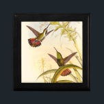 Twee kleurige Hummingvogels die op dezelfde bloem  Cadeaudoosje<br><div class="desc">Kunstenaar John Gould was gepassioneerd over vogels. In deze gekleurde tekening zijn de twee kolibries en de bloem prachtig weergegeven. De details in deze kleurrijke fijne kunst zullen elke kunstminnaar verheugen.</div>