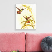 Twee kleurige Hummingvogels die op dezelfde bloem Canvas Afdruk (Insitu (Woonkamer))