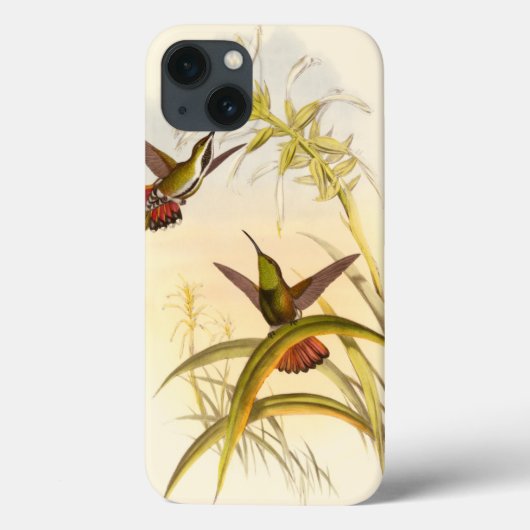 Twee kleurige Hummingvogels die op dezelfde bloem  Case-Mate iPhone Case (Achterkant)