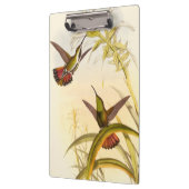 Twee kleurige Hummingvogels die op dezelfde bloem  Klembord (Links)