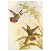 Twee kleurige Hummingvogels die op dezelfde bloem  Klembord (Achterkant)