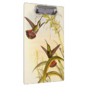 Twee kleurige Hummingvogels die op dezelfde bloem  Klembord (Rechts)