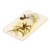 Twee kleurige Hummingvogels die op dezelfde bloem  Magneet (Linkerzijde)