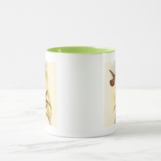 Twee kleurige Hummingvogels die op dezelfde bloem  Mok (Midden)