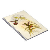 Twee kleurige Hummingvogels die op dezelfde bloem Notitieboek (Rechterzijde)