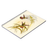 Twee kleurige Hummingvogels die op dezelfde bloem Notitieboek (Linkerzijde)