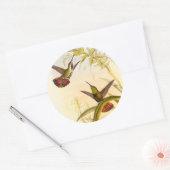 Twee kleurige Hummingvogels die op dezelfde bloem  Ronde Sticker (Envelop)