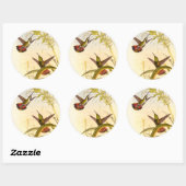 Twee kleurige Hummingvogels die op dezelfde bloem  Ronde Sticker (Vel)