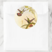 Twee kleurige Hummingvogels die op dezelfde bloem  Ronde Sticker (Tas)