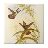 Twee kleurige Hummingvogels die op dezelfde bloem  Tegeltje (Voorkant)