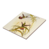 Twee kleurige Hummingvogels die op dezelfde bloem  Tegeltje (Zijkant)