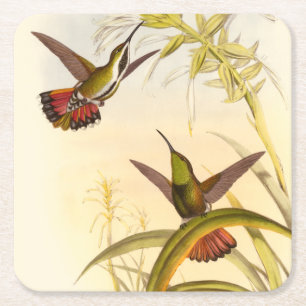 Twee kleurige Hummingvogels die op dezelfde trap w Kartonnen Onderzetters