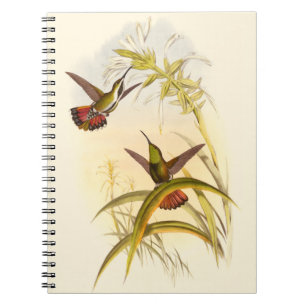Twee kleurige Hummingvogels die op dezelfde trap w Notitieboek