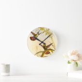 Twee kleurige Hummingvogels die op dezelfde trap w Ronde Klok (Huis)