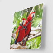 Twee Kleurrijke Kunsten op een Tak van de Boom Vierkante Klok (Hoek)