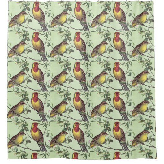 Twee kleurrijke lichtvogels douchegordijn (Voorkant)